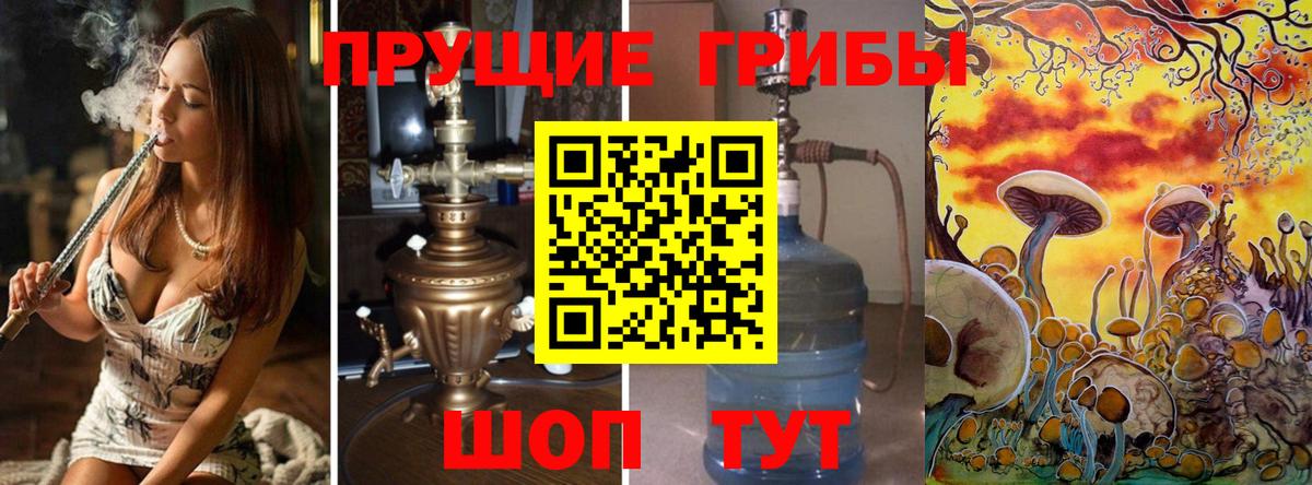 Псилоцибиновые грибы Psilocybe Тихорецк